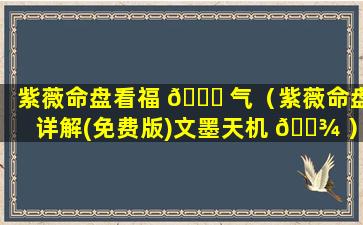 紫薇命盘看福 🐘 气（紫薇命盘详解(免费版)文墨天机 🌾 ）